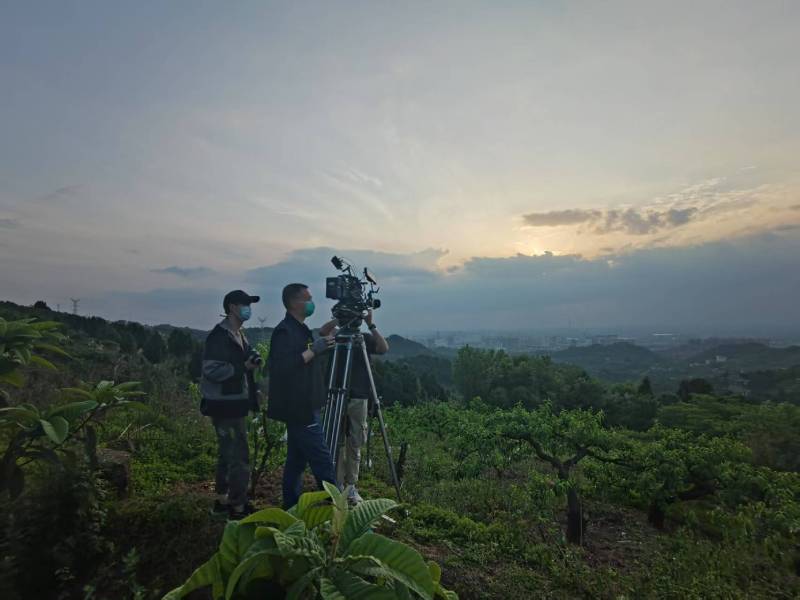 创意破圈！天宁区电商产品宣传视频用故事化叙事引爆流量