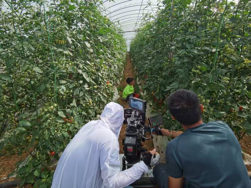 天宁区产品宣传视频拍摄公司进阶指南，助力品牌抢占传播高地